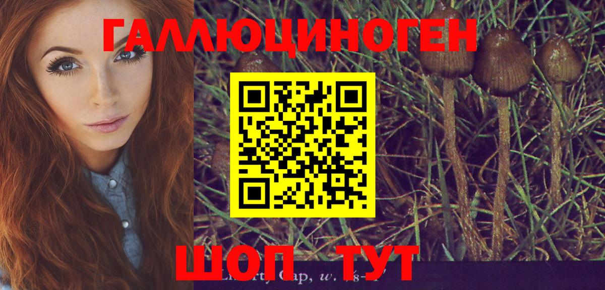 Сафоново  Псилоцибиновые грибы мицелий  купить  сайты  Вход с VPN 
